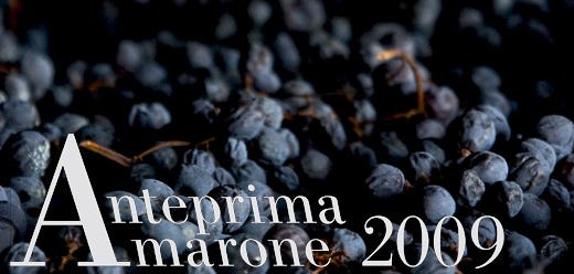 L'Amarone apre il ciclo delle Anteprime
Un vino che muove 340 milioni di euro 

