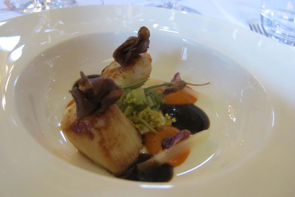 Amarone Opera Prima, il grande rosso della Valpolicella racconta il millesimo 2017