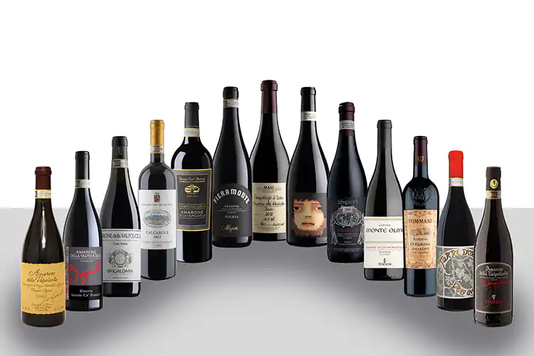 Sono quattro le masterclass per conoscere le Famiglie storiche dell&rsquo;Amarone Alla scoperta dell&rsquo;Amarone Prima tappa: il territorio