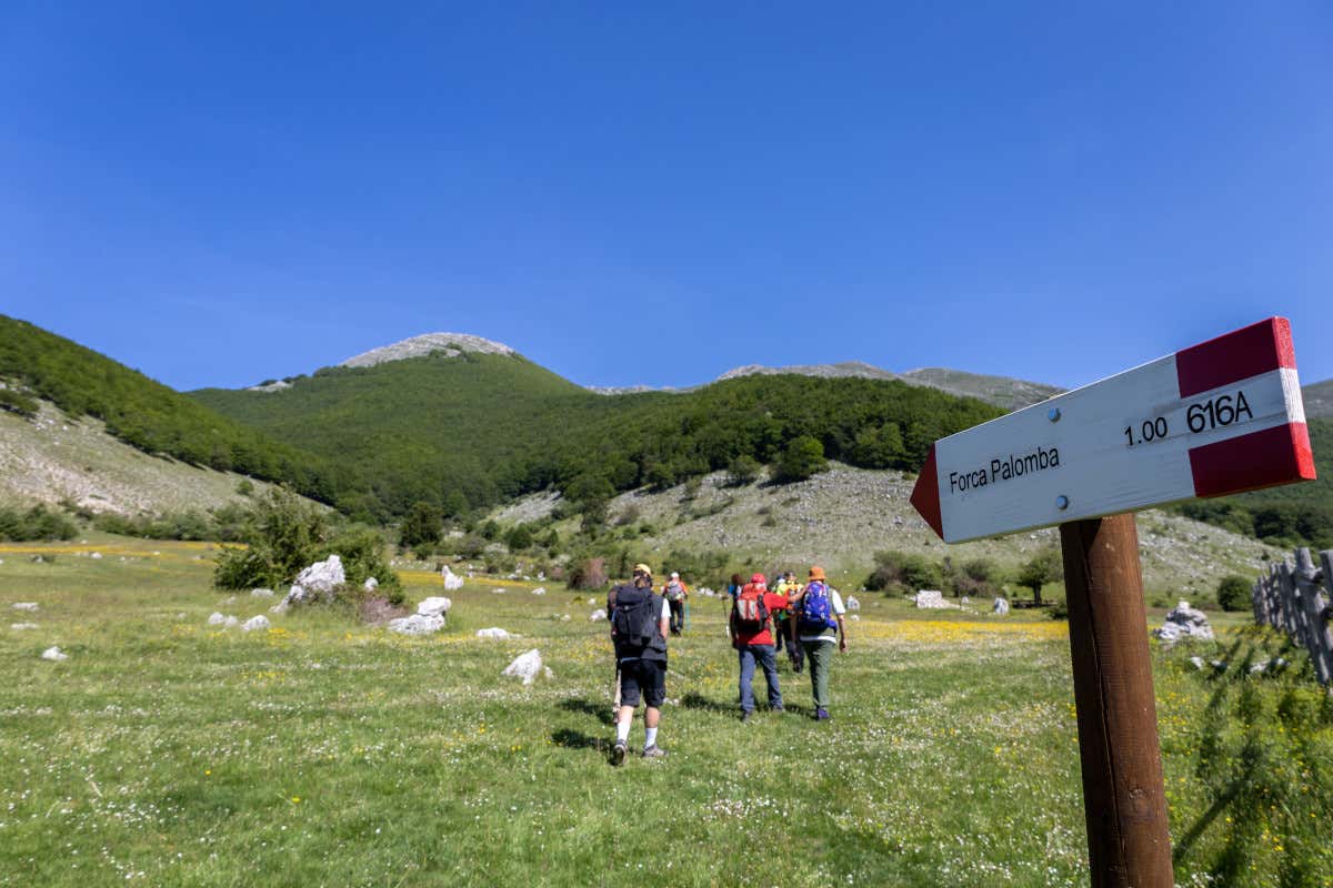 Dalla spa ai borghi fino a mare e montagna: la vacanza a 360° all'Ambasciatori Place