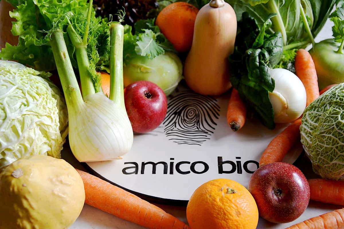 Amico Bio: ortaggi e frutta biodinamica a ciclo chiuso nella Amico Bio: ortaggi e frutta biodinamica a ciclo chiuso nella