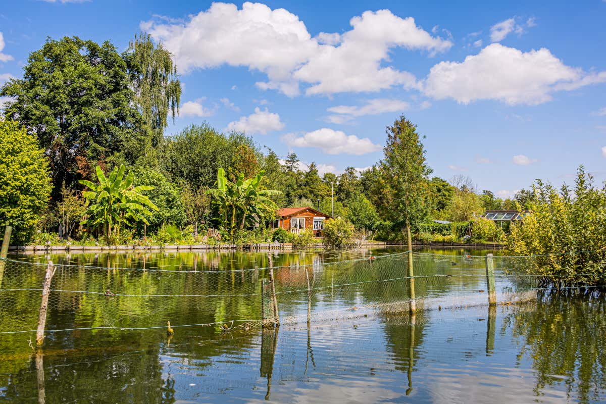 Gli Hortillonnages trasformano Amiens in un labirinto di canali e giardini galleggianti