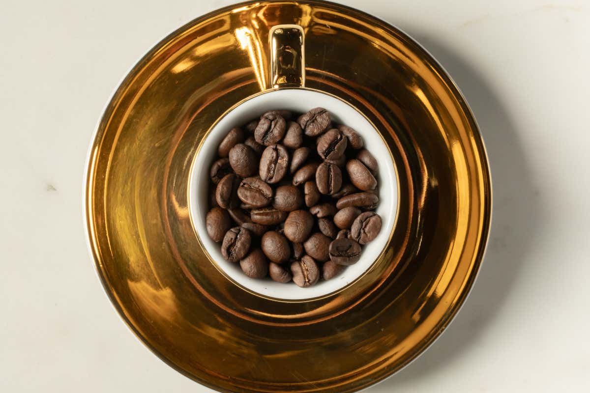 Paolo Griffa ospita il caffè Panama Geisha da record mondiale ad Aosta Paolo Griffa ospita il caffè Panama Geisha da record mondiale ad Aosta