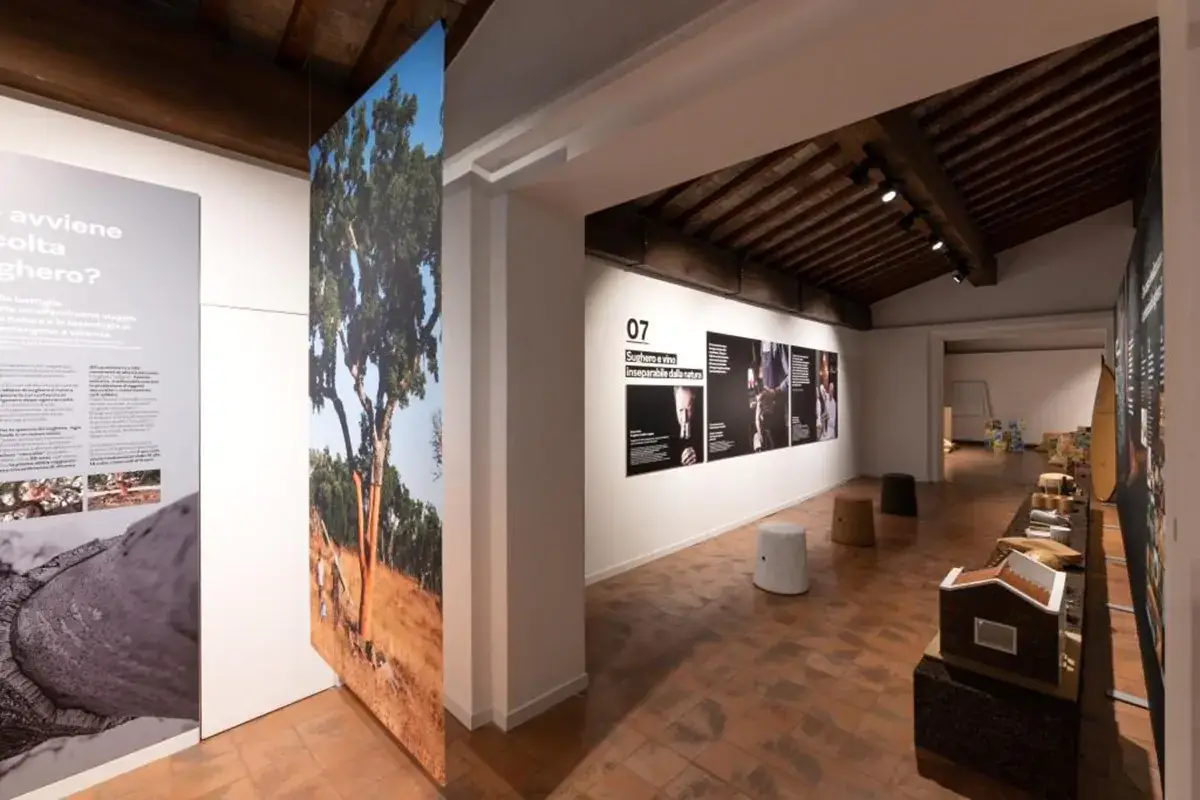 La mostra (Credits: Renato Vettorato) Sughero modello di sostenibilità, un museo ne racconta la storia