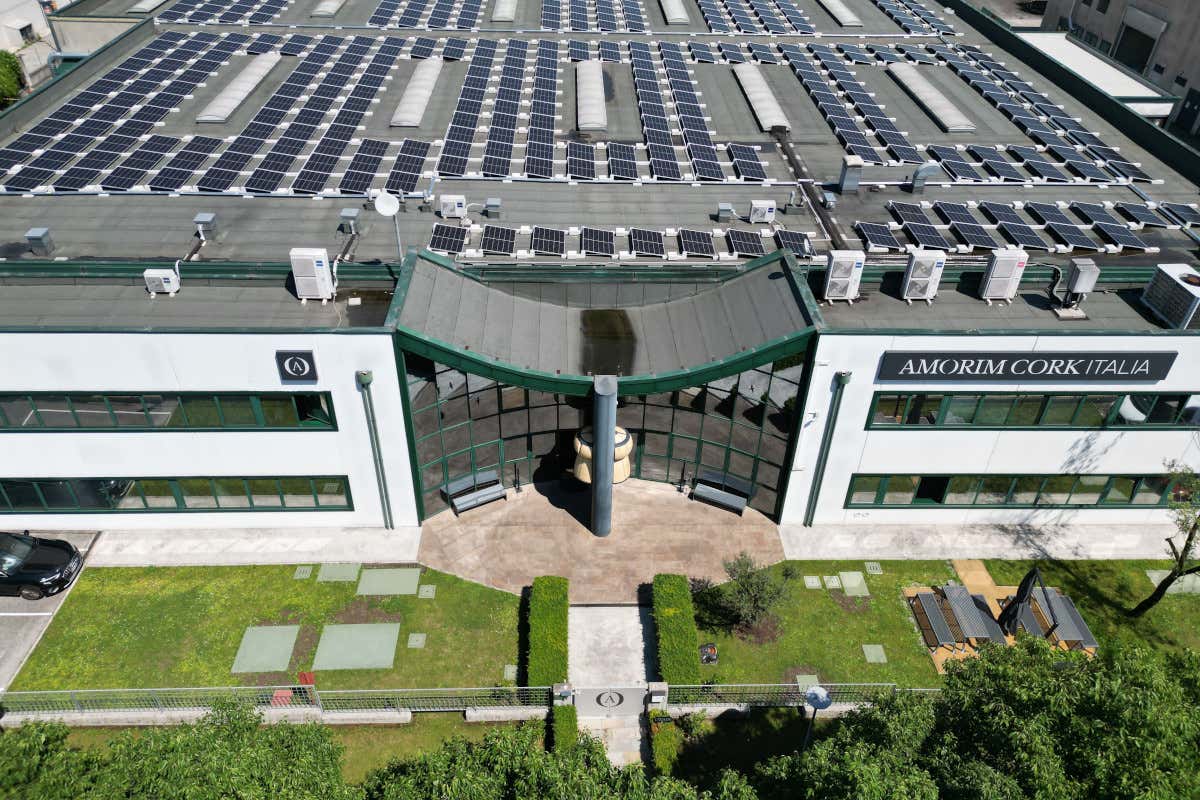 643 milioni di tappi venduti nel 2024: il bilancio solido di Amorim Cork Italia Amorim Cork Italia chiude il 2024 con 643 milioni di tappi venduti