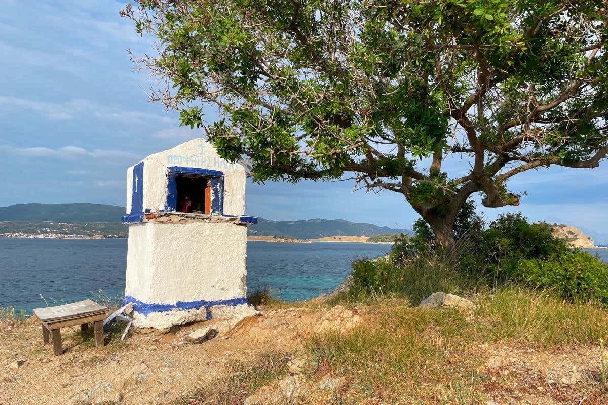 Un angolo di pace ad Amouliani Mare turchese, miele, polpi e Dolmadaki, ecco la Grecia del nord che non ti aspetti