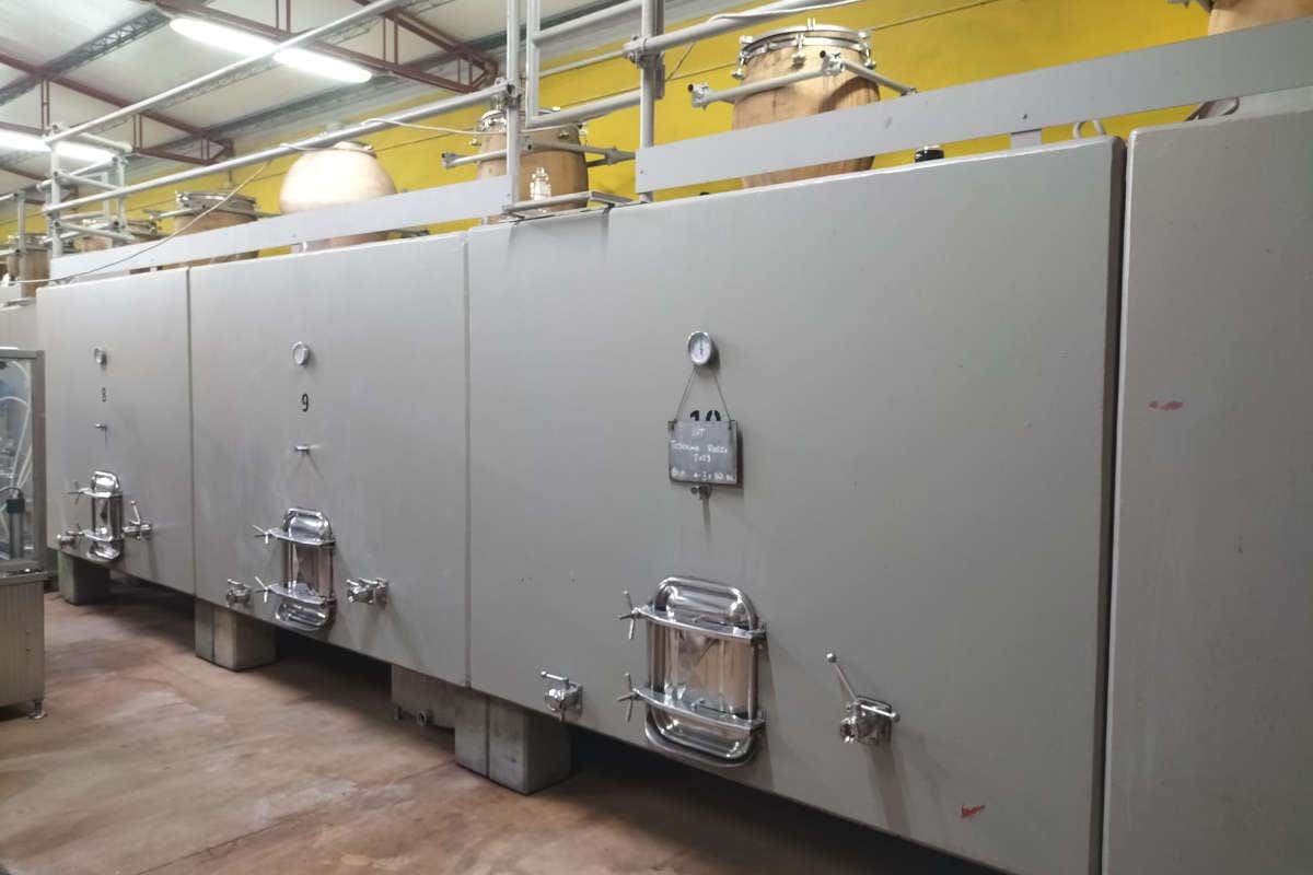 Ampeleia: un'azienda agricola sostenibile immersa nella bellezza della Toscana