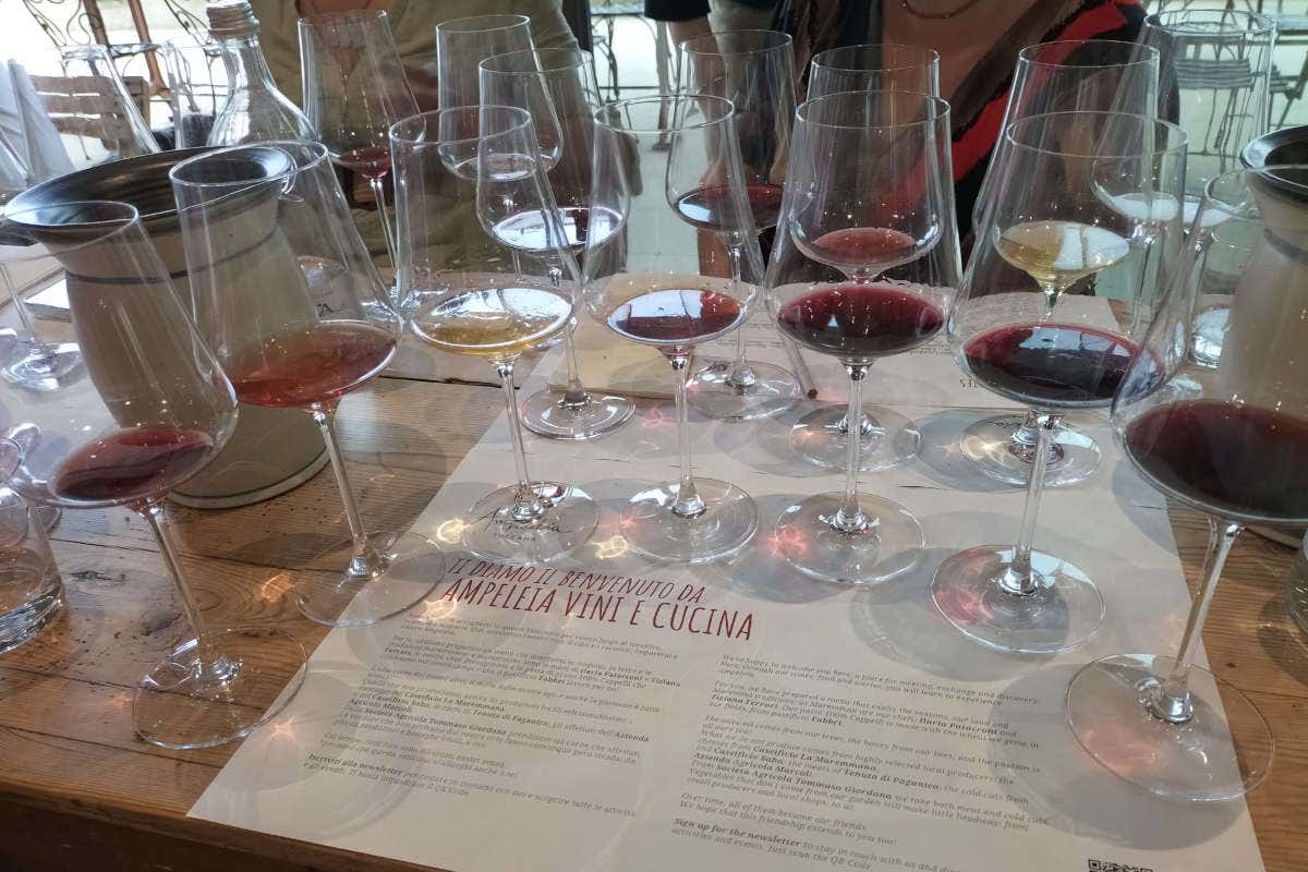 Ampeleia: un'azienda agricola sostenibile immersa nella bellezza della Toscana