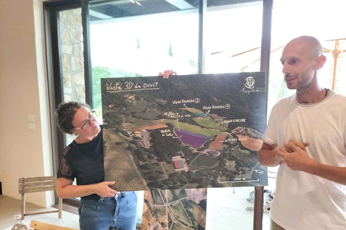 Ampeleia: un'azienda agricola sostenibile immersa nella bellezza della Toscana