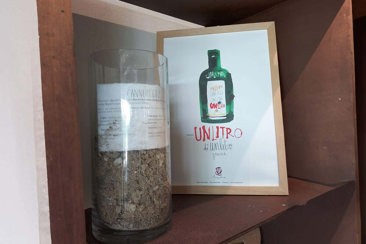 Ampeleia: un'azienda agricola sostenibile immersa nella bellezza della Toscana