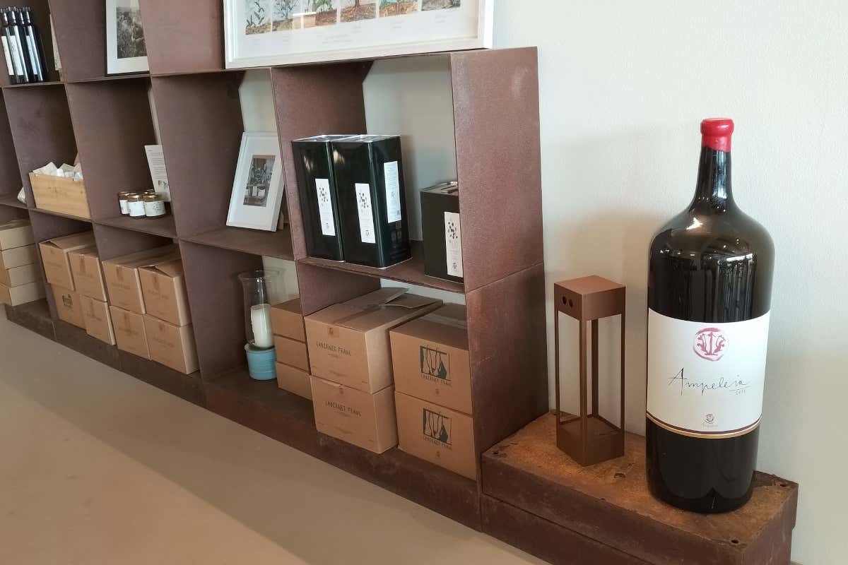 Ampeleia: un'azienda agricola sostenibile immersa nella bellezza della Toscana