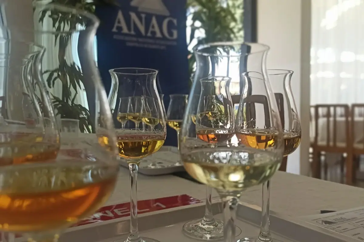 (foto Paolo Bini) Alambicco d'Oro Anag: 80 medaglie ai distillati italiani d'eccellenza