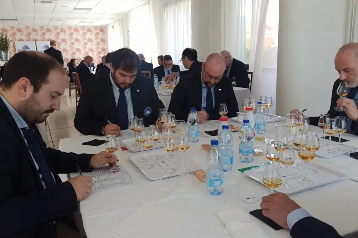 39&deg; Premio Alambicco d&rsquo;Oro Anag: premiazioni online per conoscere tutti i vincitori