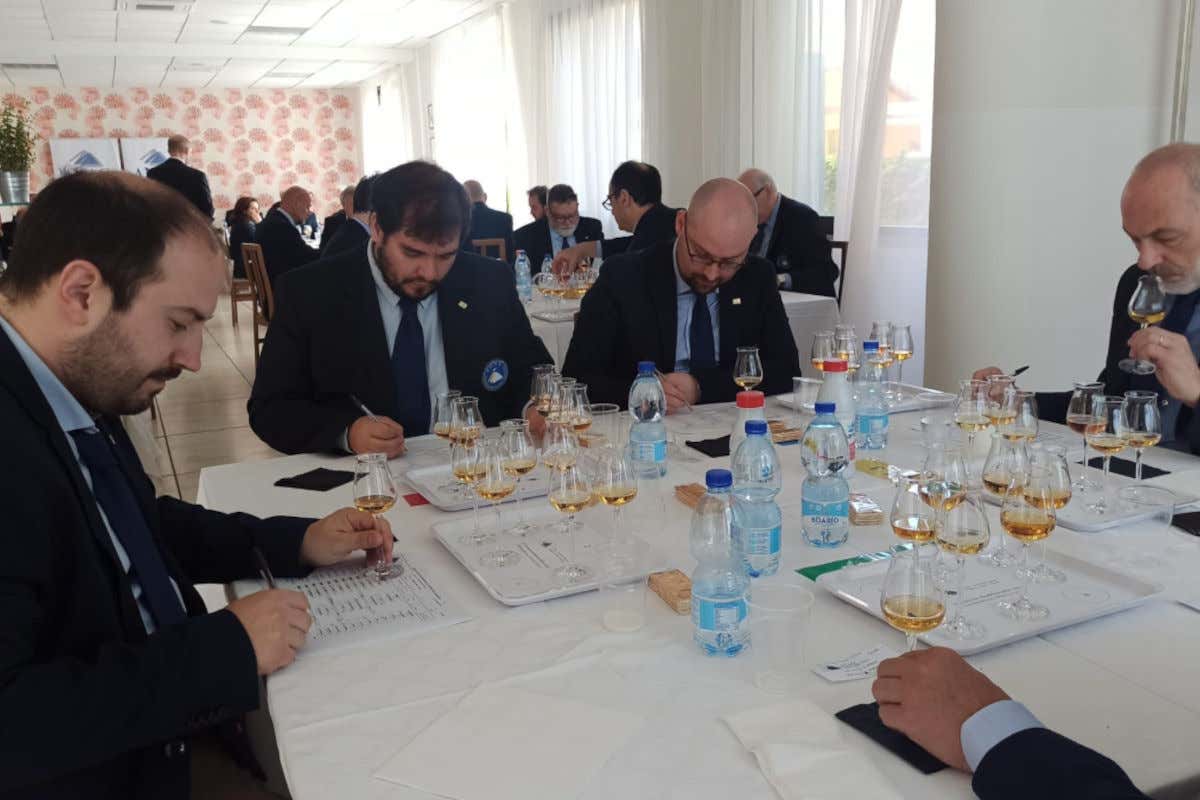 39° Premio Alambicco d’Oro Anag: premiazioni online per conoscere tutti i vincitori