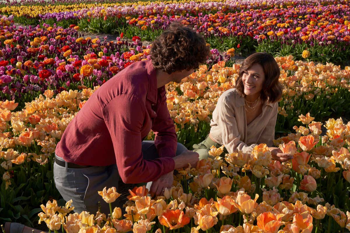 Primavera e tulipani, la magia dell'Anantara Grand Hotel Krasnapolsky Amsterdam 