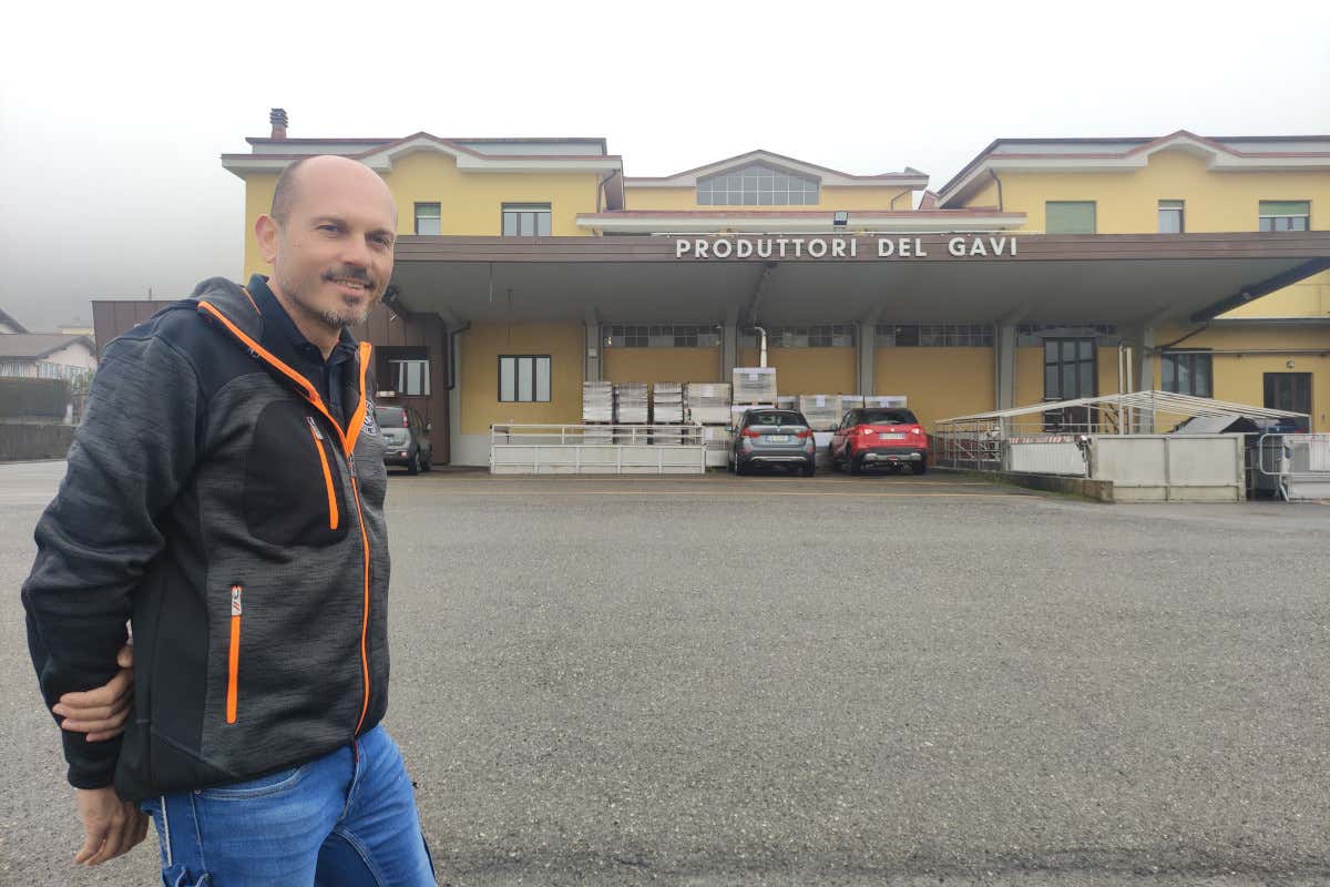 Il Gavi svolta con Montobbio: «Più Riserva e zona di imbottigliamento blindata»