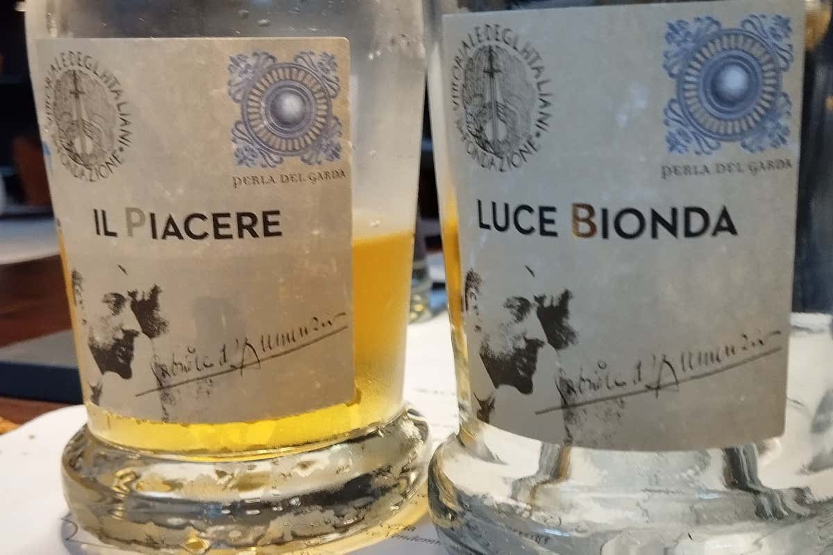 Vendemmia perfetta per La Perla del Garda: nasce la Raccolta Prodigiosa Vendemmia perfetta per La Perla del Garda: nasce la Raccolta Prodigiosa