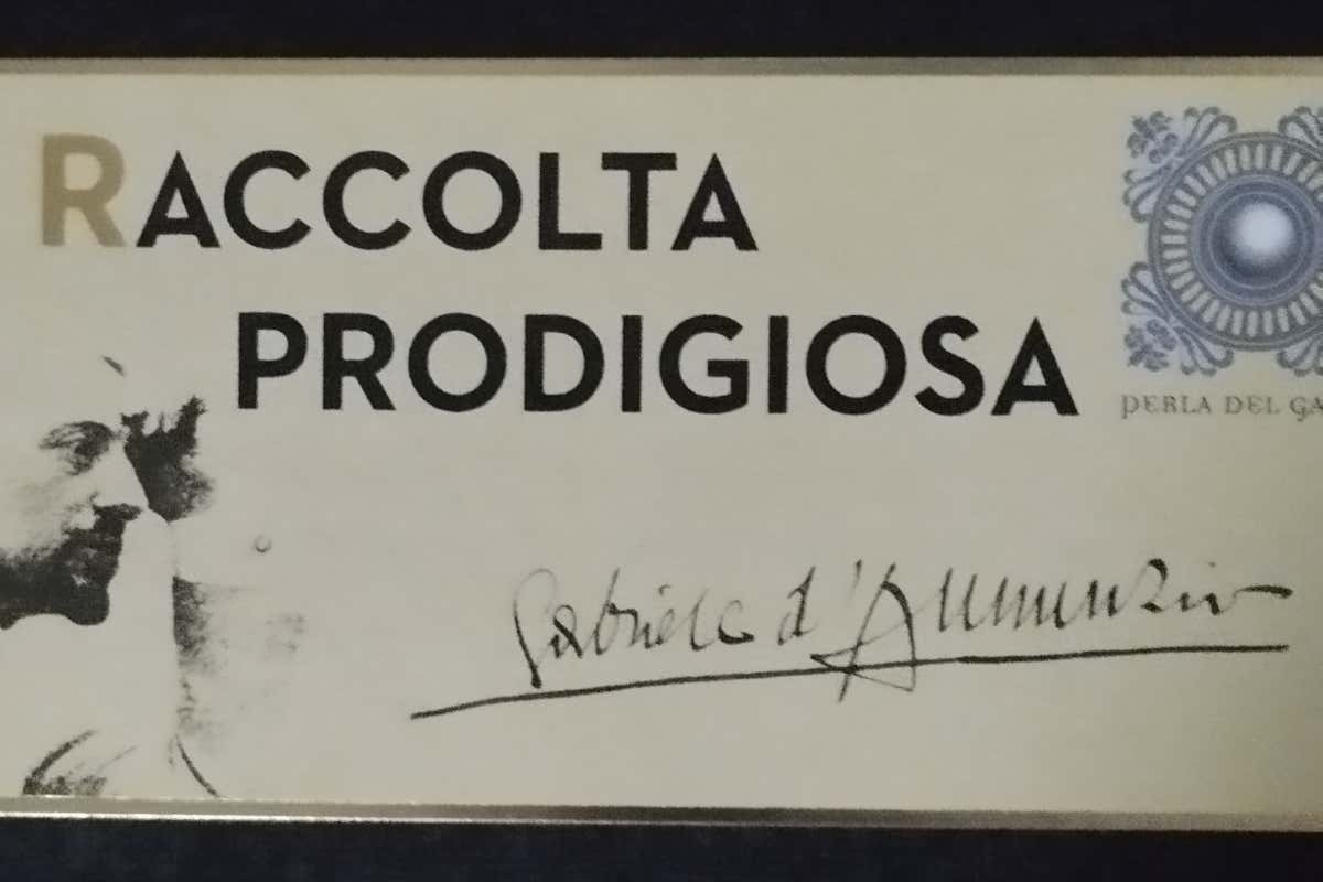 Vendemmia perfetta per La Perla del Garda: nasce la Raccolta Prodigiosa Vendemmia perfetta per La Perla del Garda: nasce la Raccolta Prodigiosa