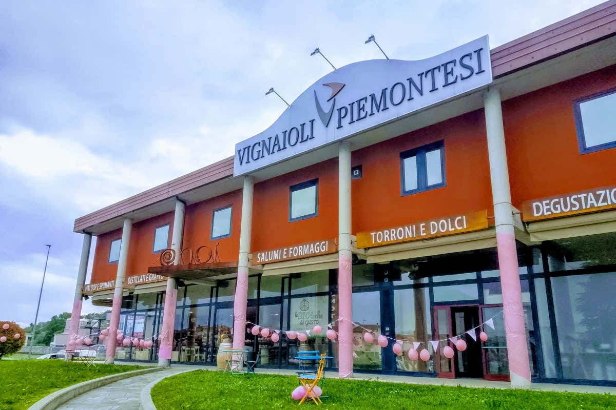 Nasce il Comitato Tecnico Vitivinicolo Piemontese, per un futuro sostenibile Nasce il Comitato Tecnico Vitivinicolo Piemontese, per un futuro sostenibile