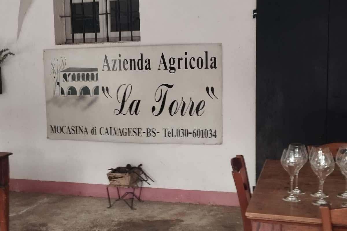 La Torre: 100 anni di vini biologici e sostenibili nella Valtènesi Doc La Torre: 100 anni di vini biologici e sostenibili nella Valtènesi Doc