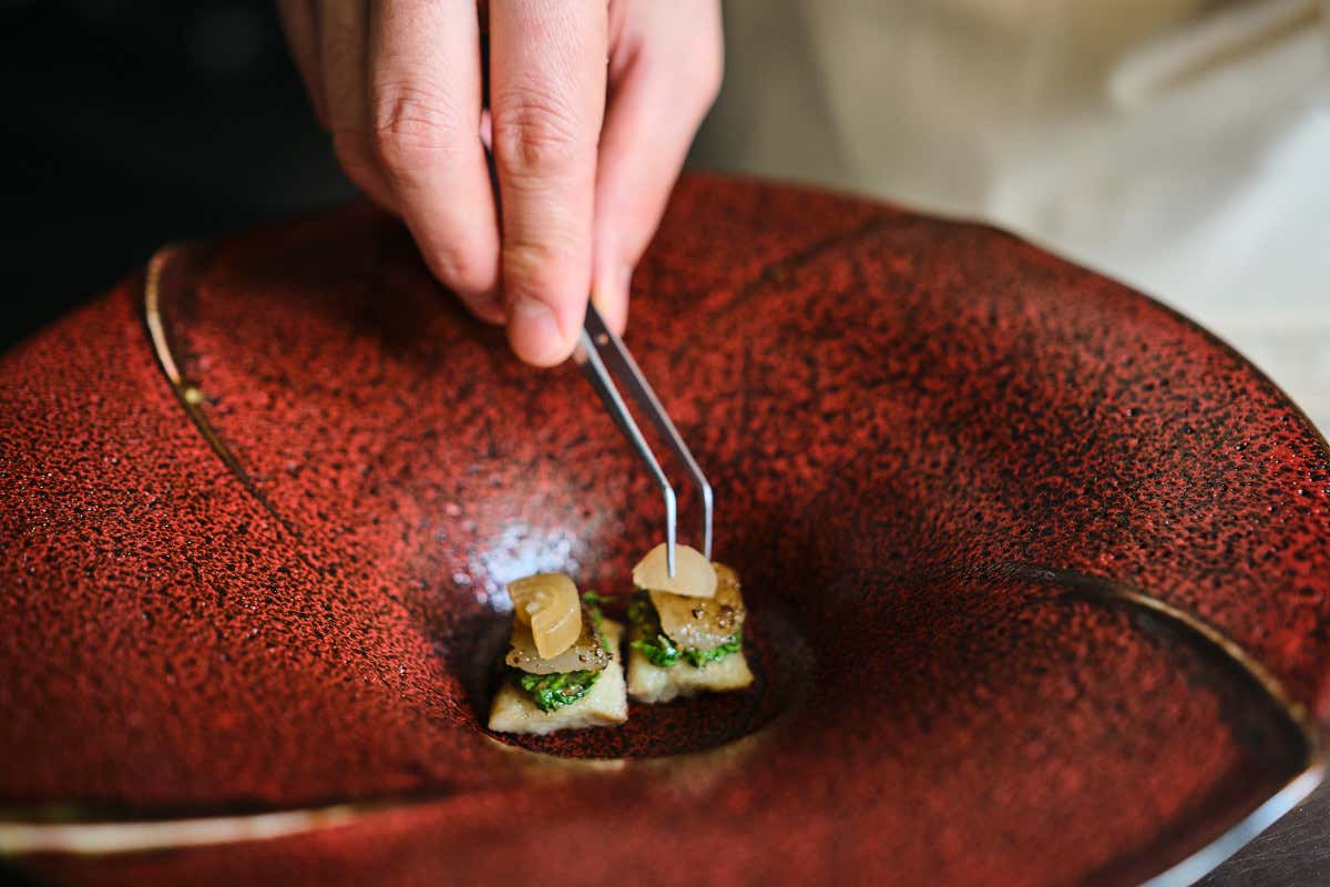 Anguilla, wagyu e kombuha di sedano e mela 