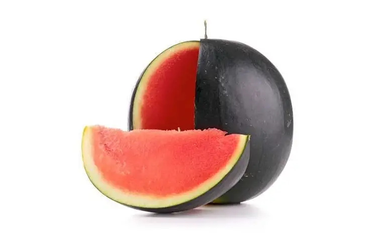 Dolce Passione: ecco l&rsquo;anguria dell&rsquo;estate 2022 a buccia nera