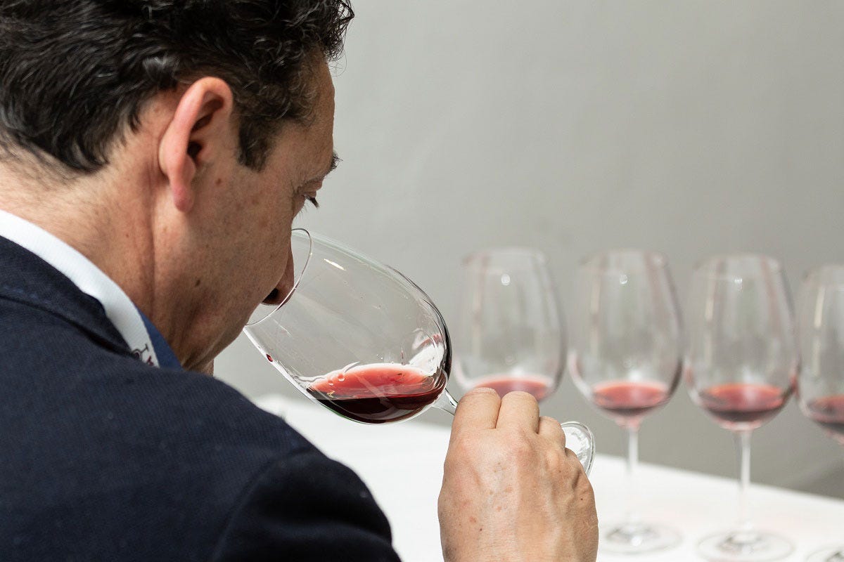 Presentata anche la varietà Pieve, in commercio dal 2024 Vino Nobile di Montepulciano, Anteprima con vini da cinque stelle