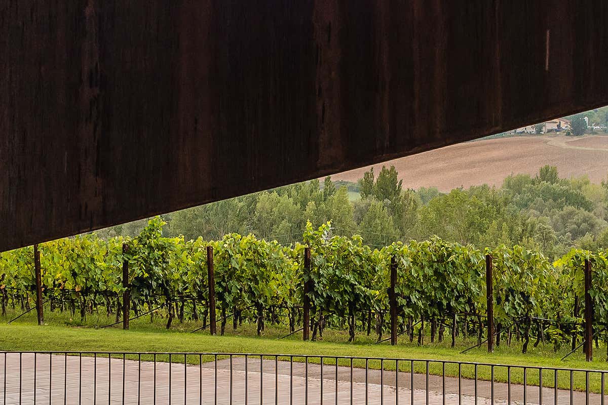 Antinori nel Chianti Classico - Spiral staircase Antinori, la cantina è la vera casa del vino, simbiosi tra architettura, funzione e natura