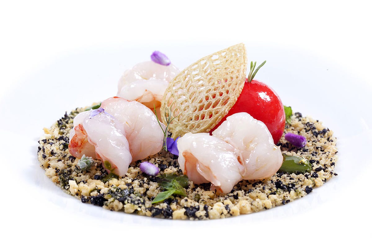 Seafood appetizer, but not only The cuisine of Francesco Carrieri, recipes to be happy