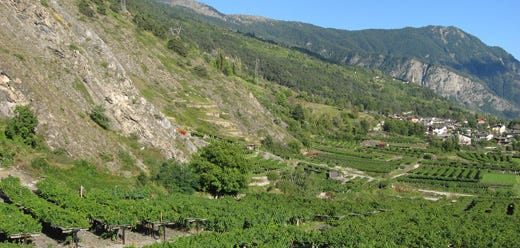 Cave des Onze Communes trionfaal 21° Concorso dei vini di montagna