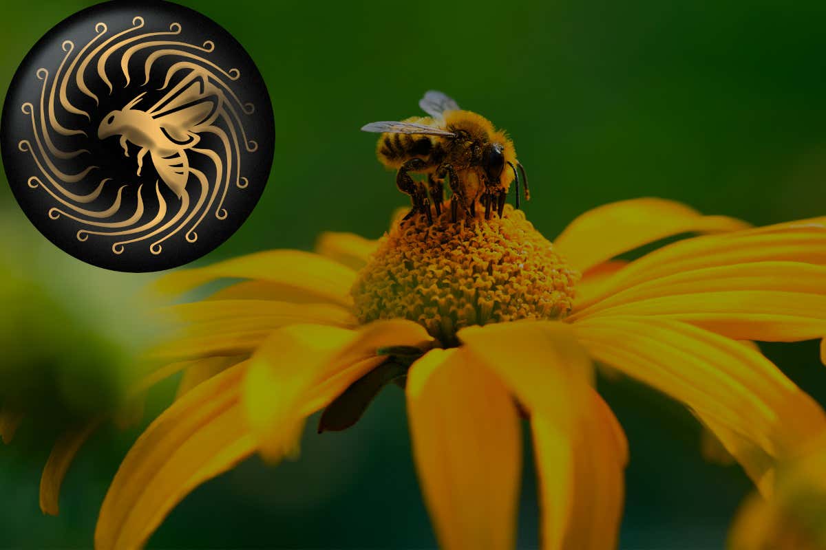 Brut 700 Lost Edition: con Cusumano  un brindisi per la biodiversità