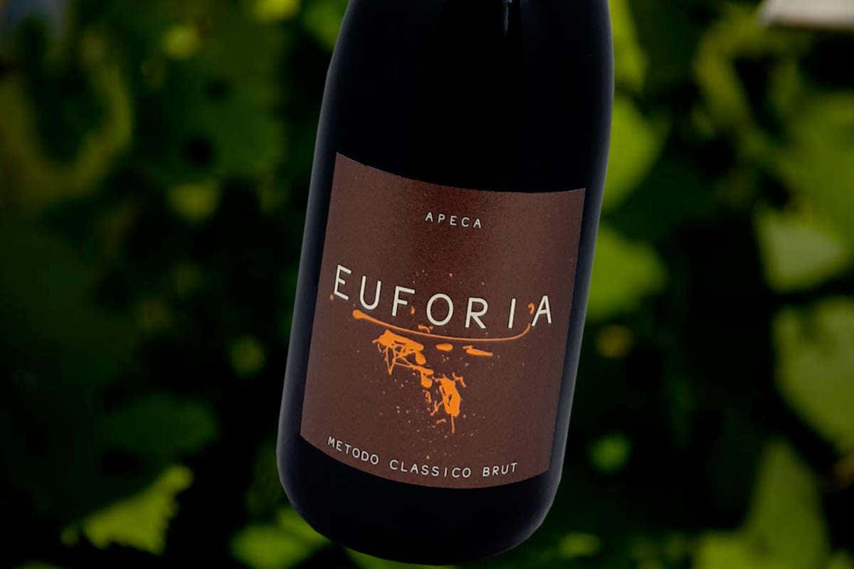 Apeca Wines, Euforia Brut 2021: freschezza e armonia delle Langhe Apeca Wines, Euforia Brut 2021: freschezza e armonia delle Langhe