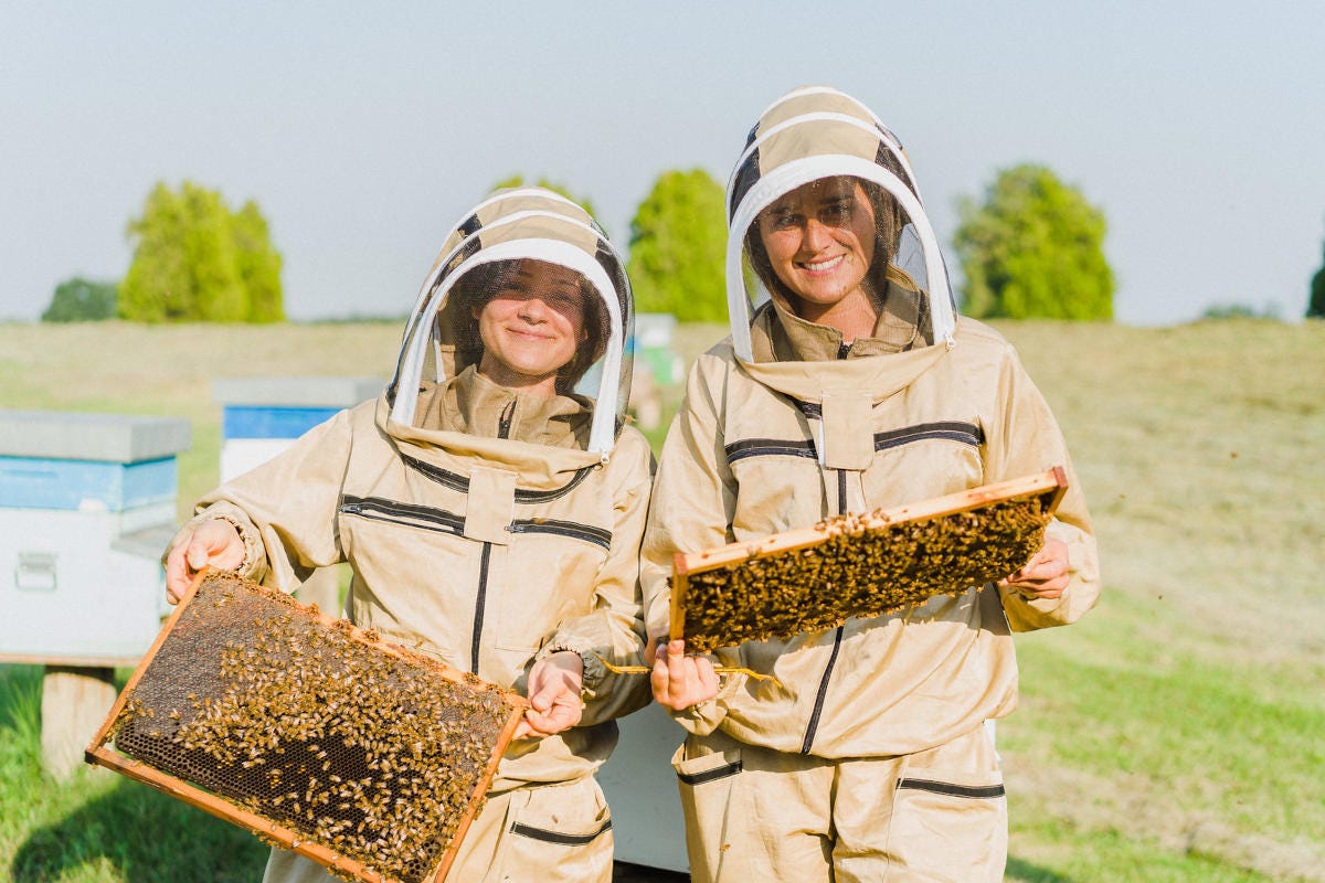 Le apicoltrici di Api Libere Un viaggio nel regno delle api tra le arnie in Emilia