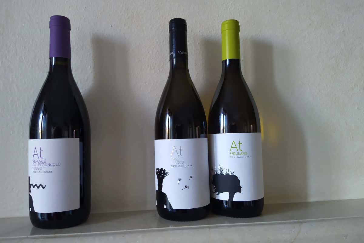 I tre vini Doc presentati da Aquila Del Torre “Aquila del Torre- Vino per Natura” presenta tre bottiglie Doc