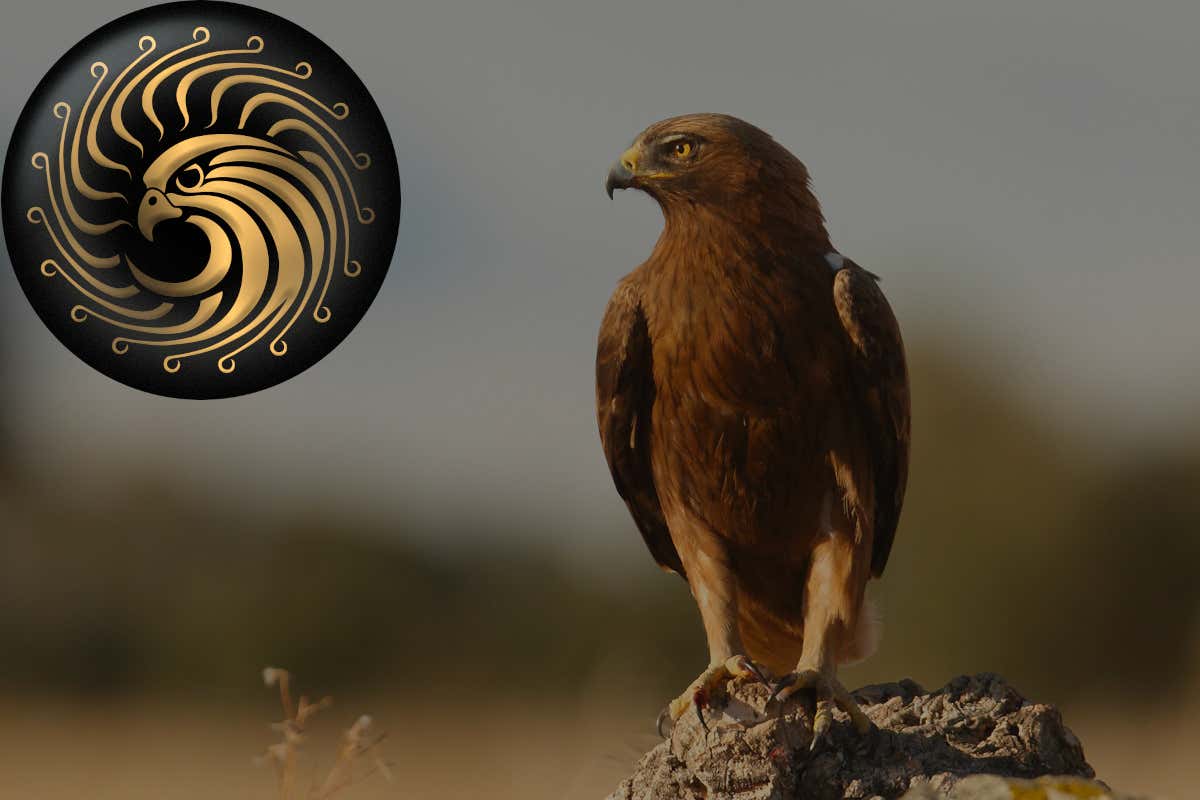 Brut 700 Lost Edition: con Cusumano  un brindisi per la biodiversità