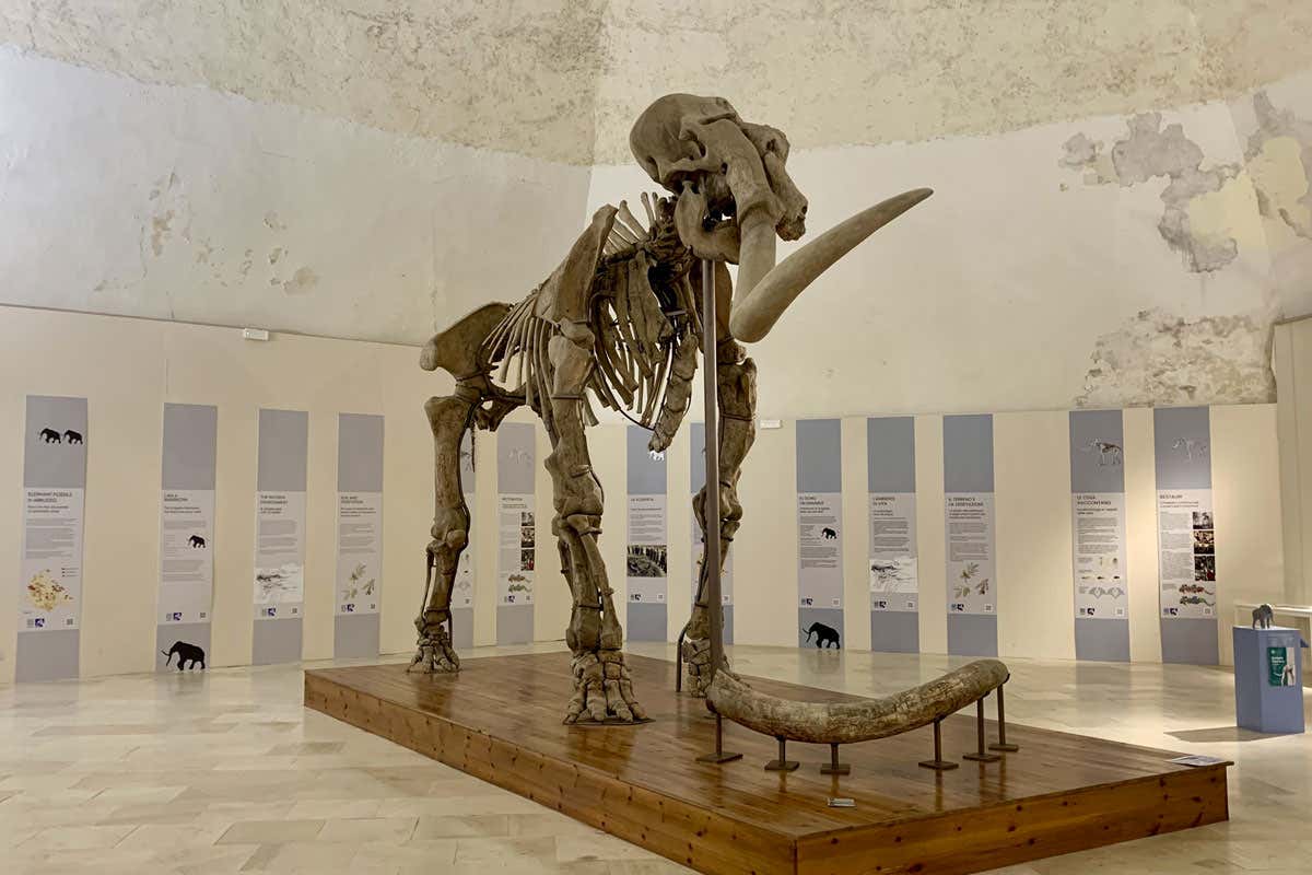 L’Aquila Capitale italiana della Cultura 2026 prepara le formule di accoglienza  