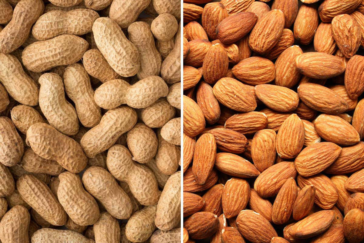 Frutta secca, due scenari: surplus per le arachidi, mandorle Usa restano solide Mercati della frutta secca: arachidi in eccesso mandorle USA reggono