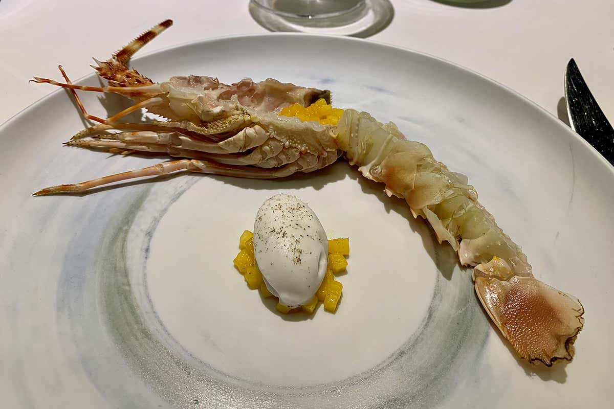 Aragosta, gelato cocco e mango Acqua: un tuffo nel pescato di ricerca