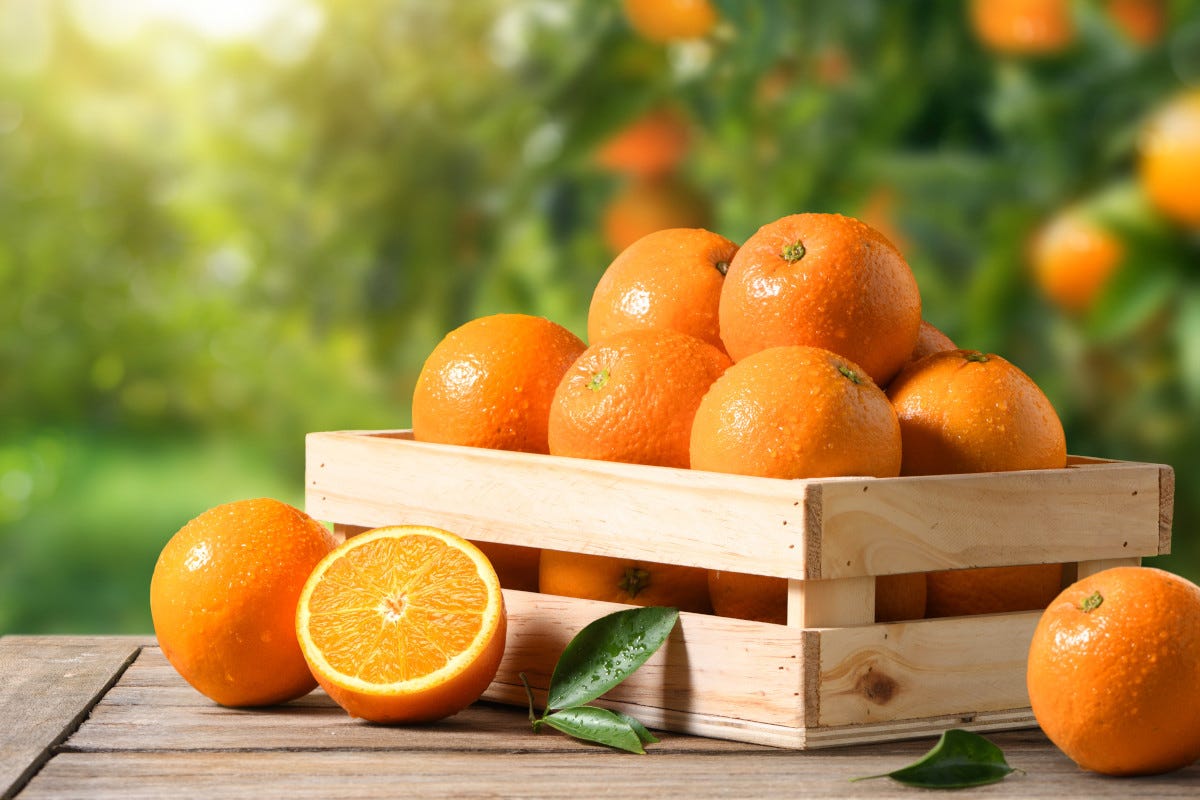 Un'arancia al giorno per gli occhi: i flavonoidi aiutano la retina