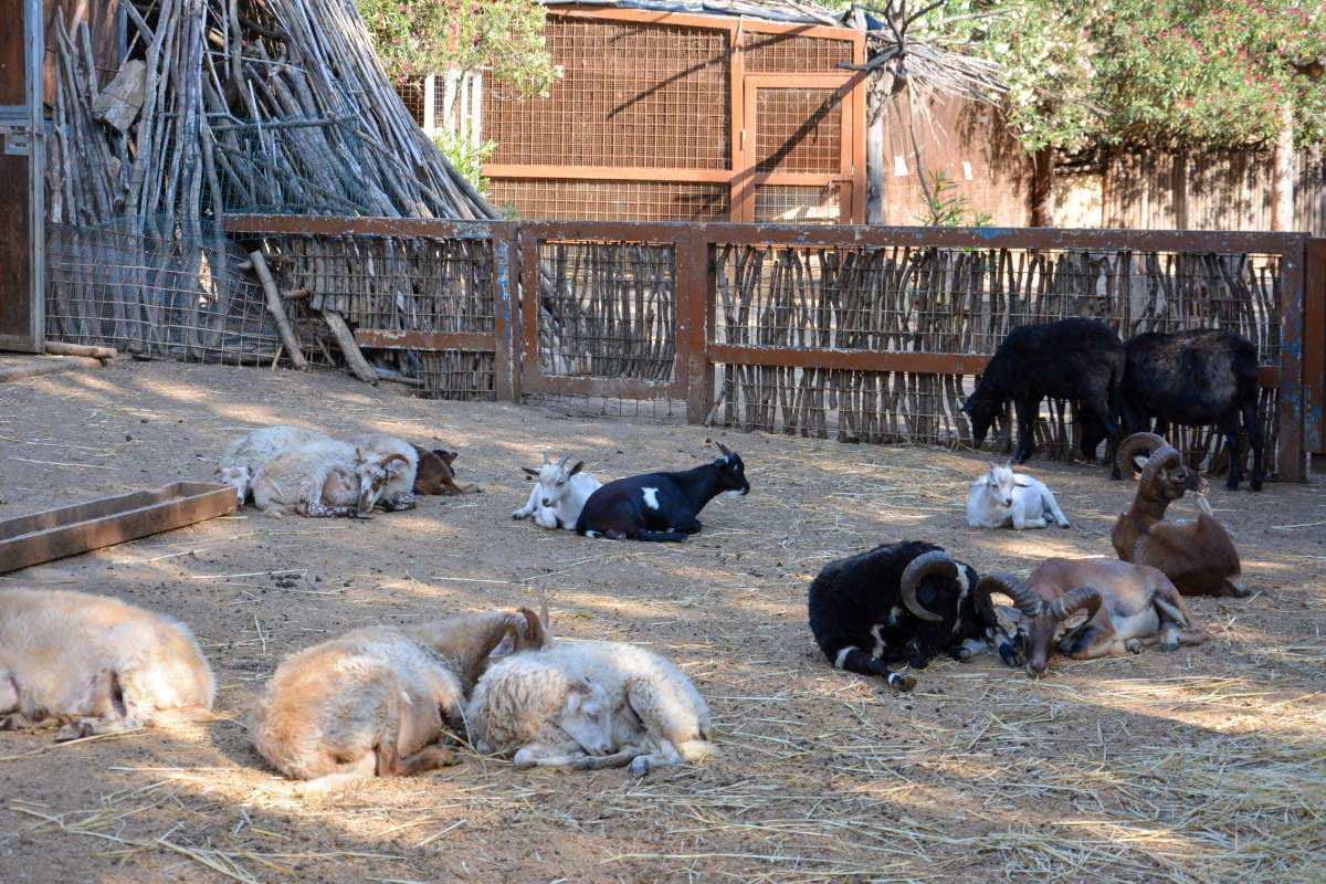 Un'oasi di relax e natura in Sardegna: l'Arbatax Park Resort & Spa