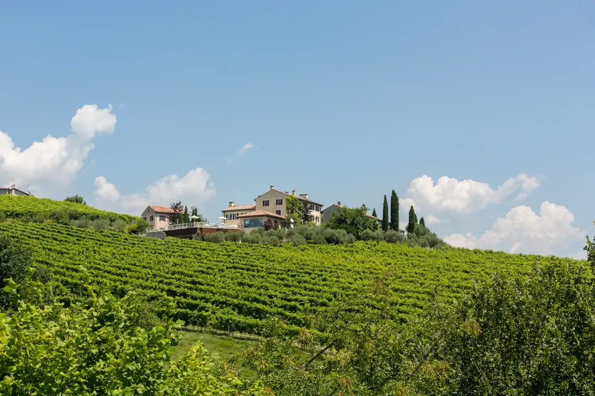 Relais d'Arfanta Wine resort per godersi l'autunno e la vendemmia. Ecco alcuni dei pi&ugrave; romantici