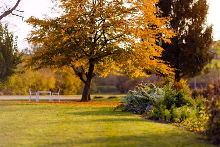 FOTO L'Argine a Vencò, un piccolo ristorante di campagna con una stella