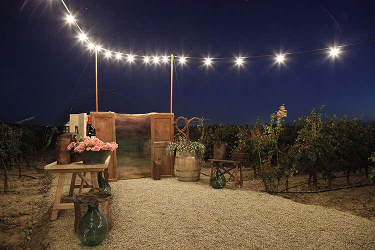 Tutto pronto per Calici di stelle - Argiolas porta a caccia di stelleNei vigneti con l’astrofisica Leo Tutto pronto per Calici di stelle - Argiolas porta a caccia di stelleNei vigneti con l’astrofisica Leo