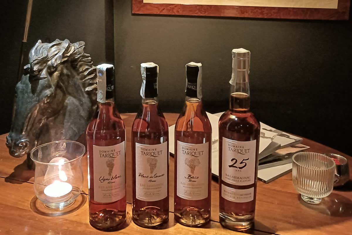 Bas-Armagnac: la Guascogna raccontata attraverso un distillato Bas-Armagnac: la Guascogna raccontata attraverso un distillato