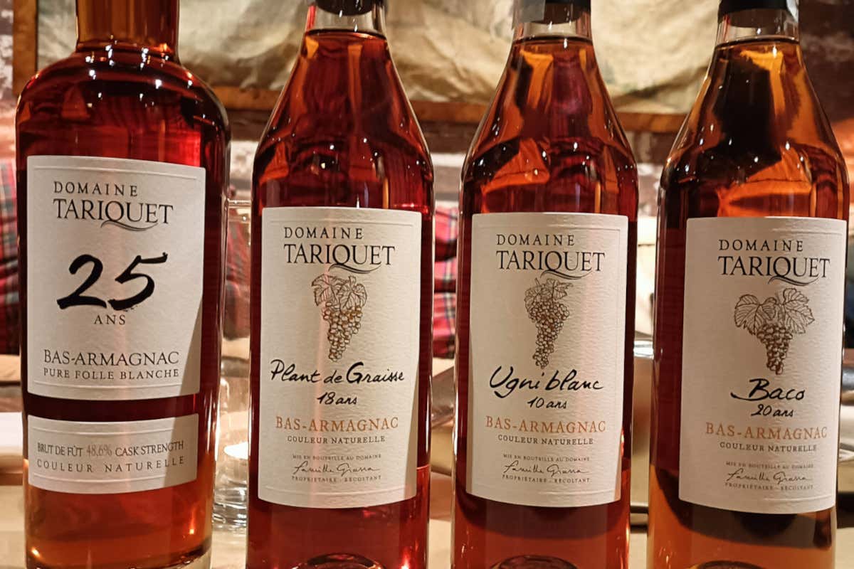 Bas-Armagnac: la Guascogna raccontata attraverso un distillato