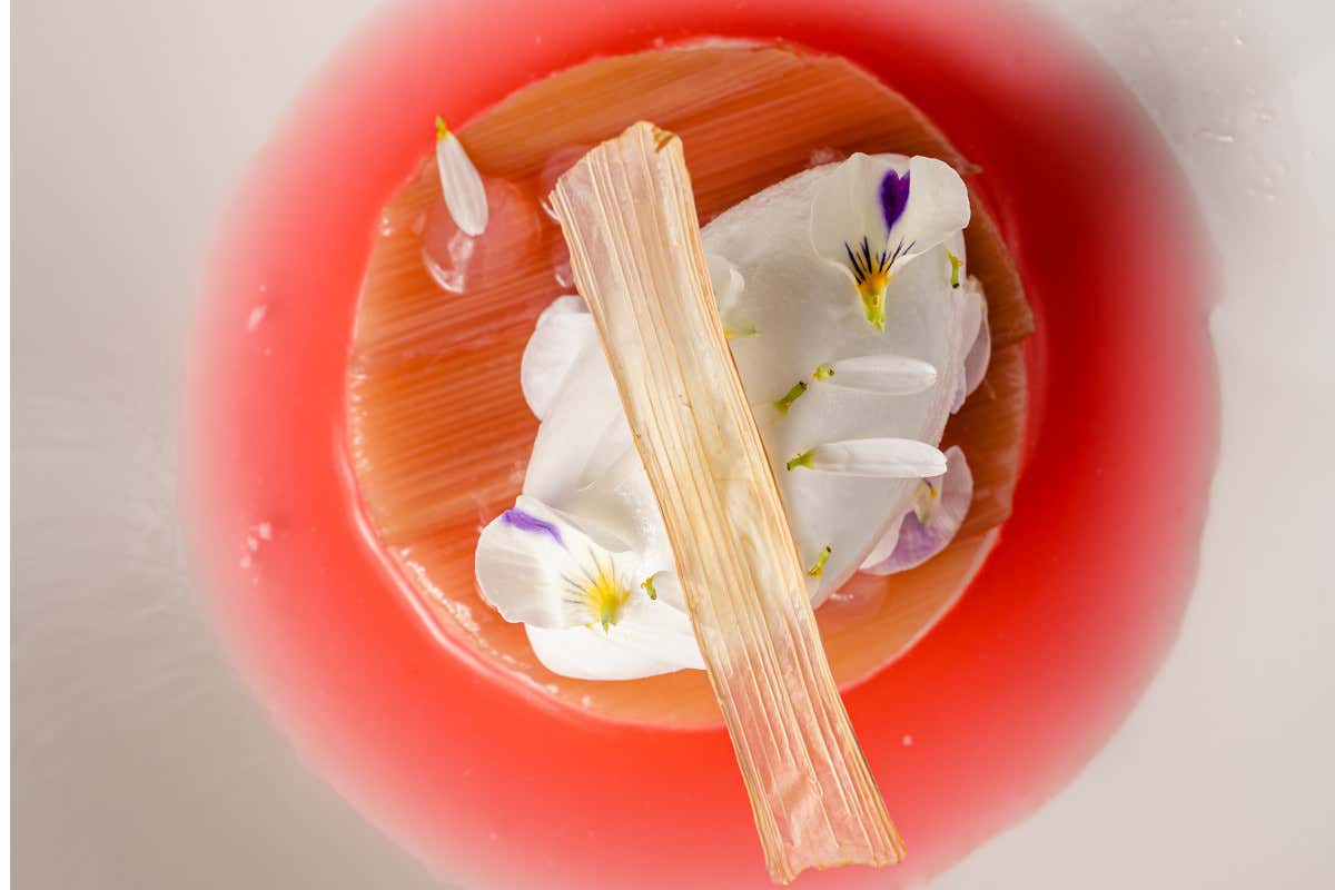 Armani Ristorante, Rabarbaro Parfait al latte di capra Armani/Ristorante Milano: ecco il nuovo menu di  Francesco Mascheroni