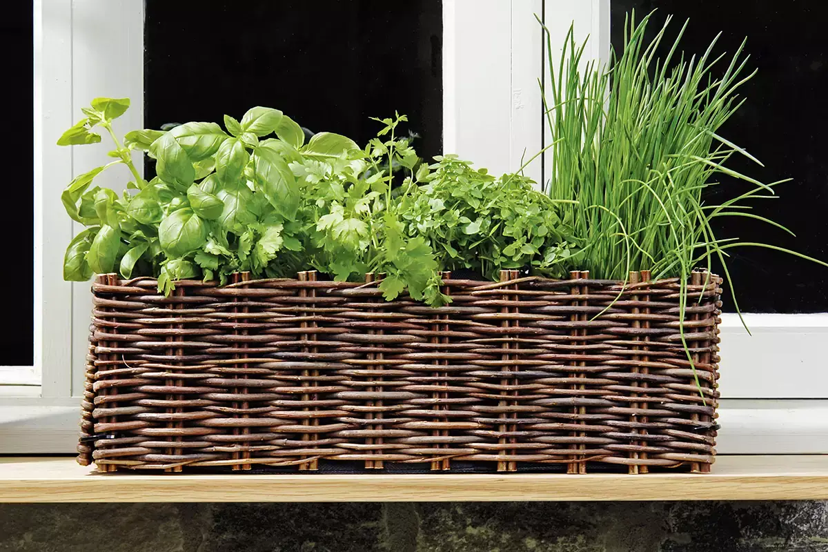Il 15% degli acquisti si effettua nei mercati, l'11% nei supermercati Un orto sul balcone aiuta la cucina