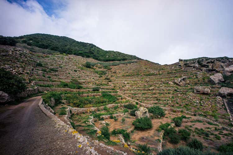 (L’arte dei muretti a secco è patrimonio dell’umanità) (L’arte dei muretti a secco è patrimonio dell’umanità)