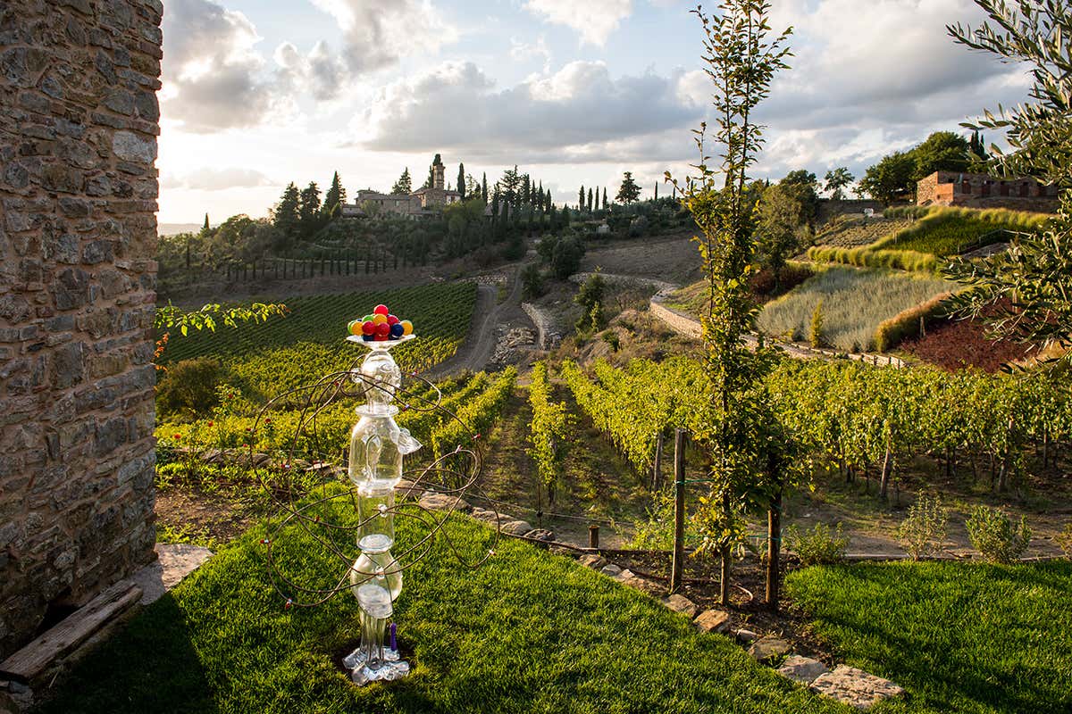 Tenuta Casenuove si estende per 120 ettari, di cui 28 a vigneto Tenuta Casenuove tra arte e vino