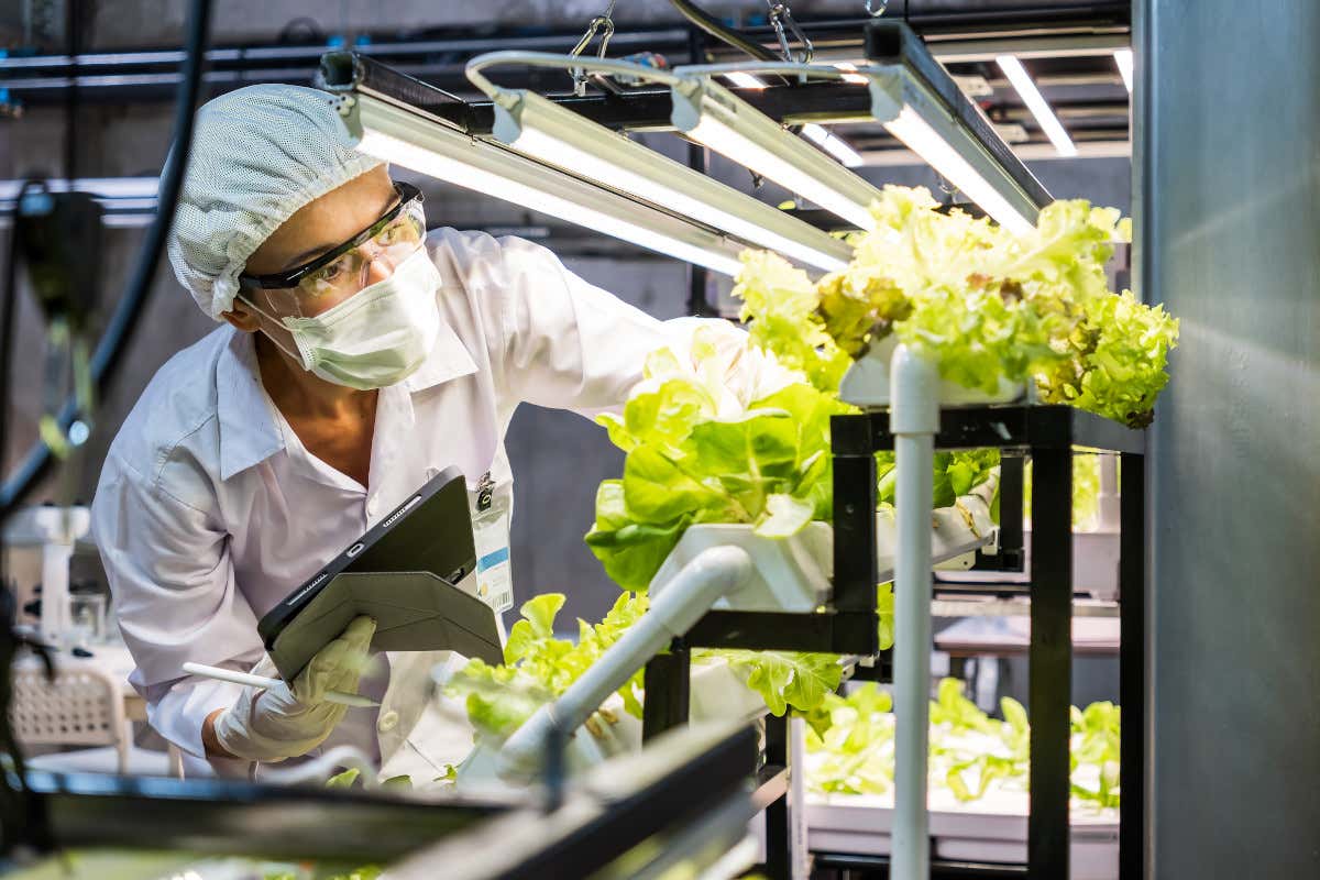 La sicurezza alimentare dipende dal controllo dei processi, non dal modello produttivo